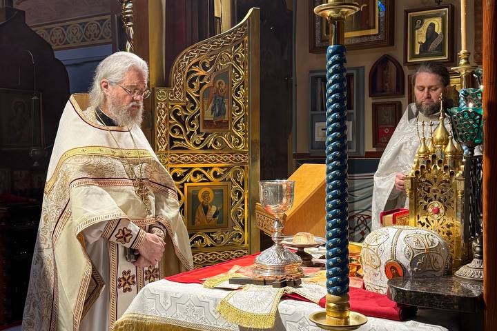 ������ ���� (���������), ��������� ��������� �����������, �������� � ��� ������������