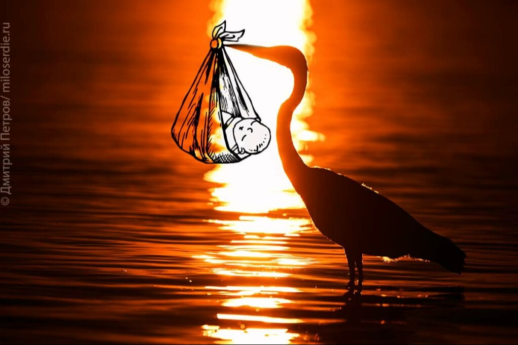 ��������� ����� ��������� ���� ������ ������� � ����������� ������� ��������� ��������� ������� �������� �� ������